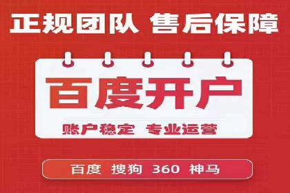 高效SEM托管服务：成功案例深度解析